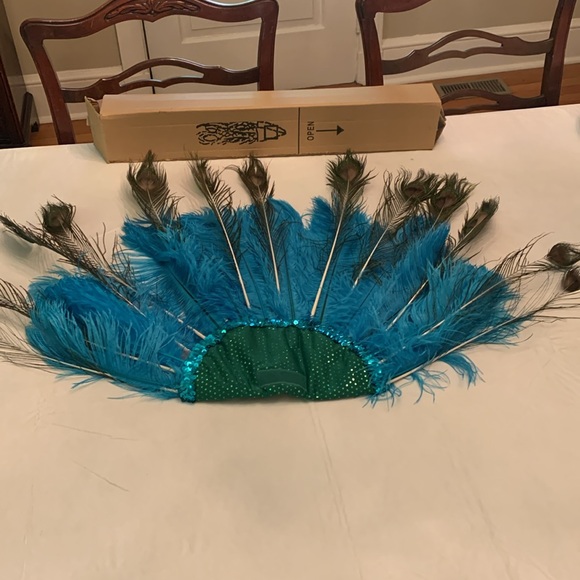 Chasing Fireflies Wishcraft Peackok Costume Sz 6. - Picture 15 of 16